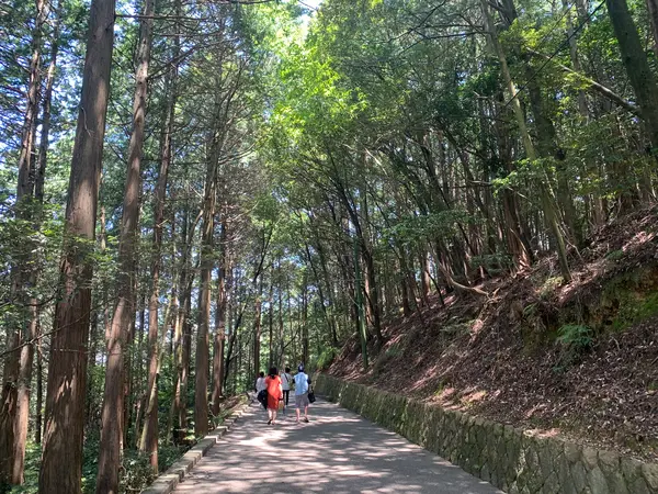行きは広めの道