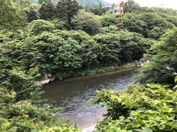 受付からの眺め