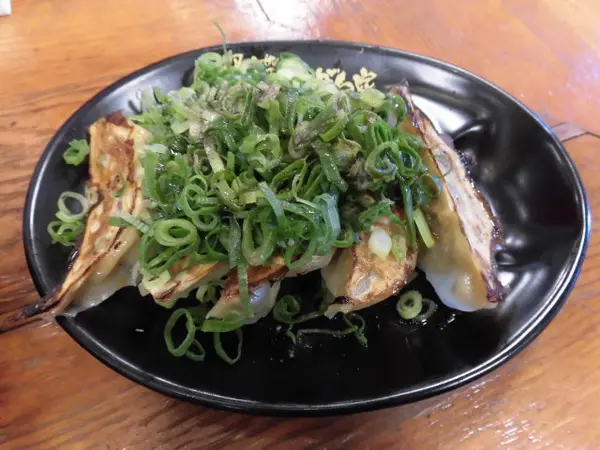 ねぎたっぷり餃子