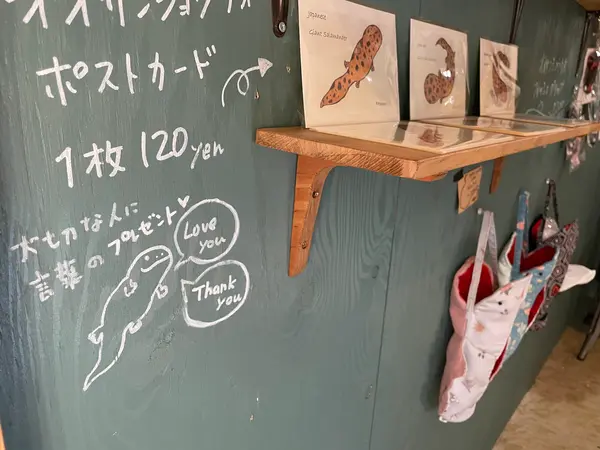 サンショウウオ、前足は4本指、後ろ足は5本指なんだそう、、、！😲