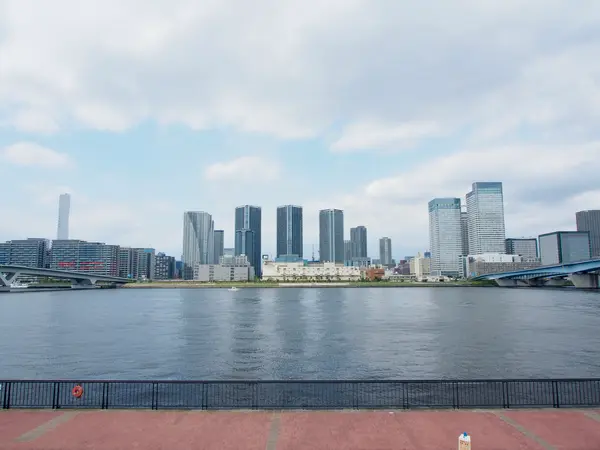 正面の景色