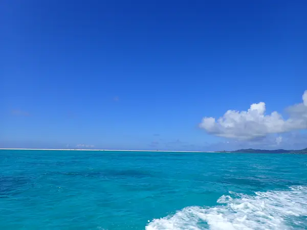 いざはての浜へ