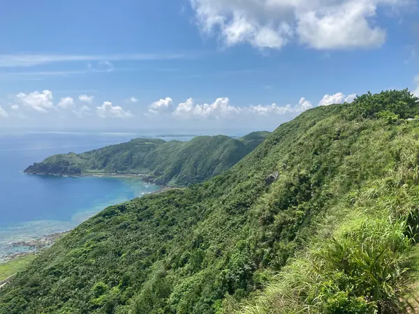 海と緑