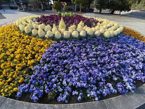 花壇