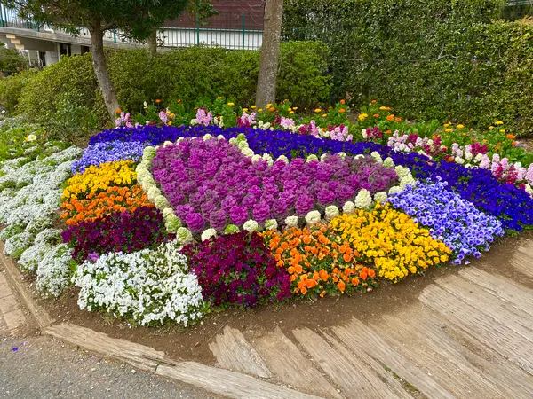道の駅周辺の花壇