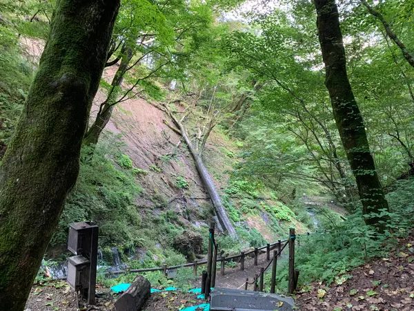 土砂崩れのあと