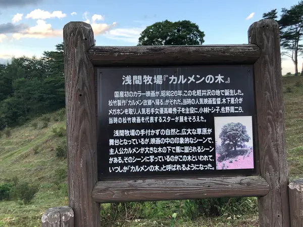 スポット内のおすすめ