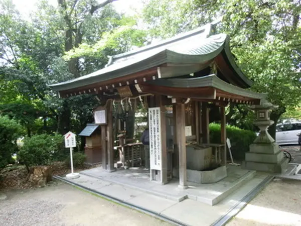 疣を取るのに神験あり