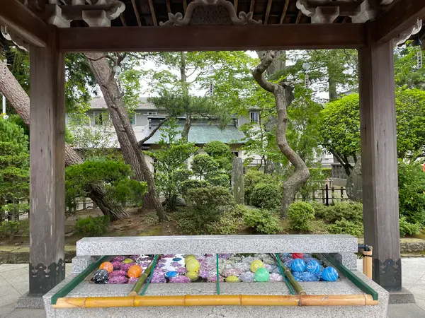 季節を感じさせる手水舎