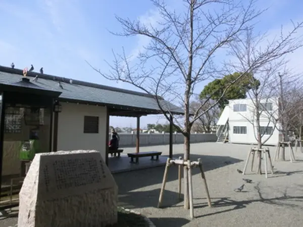 香里百年桜