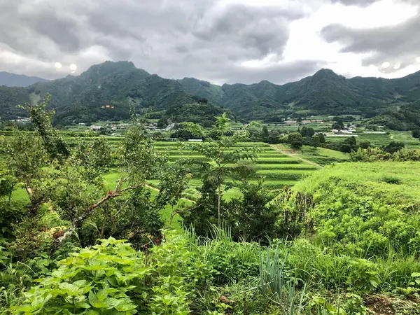 窓からの風景