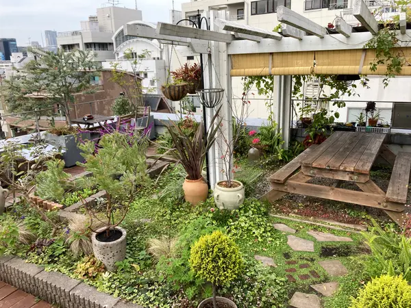 屋上庭園