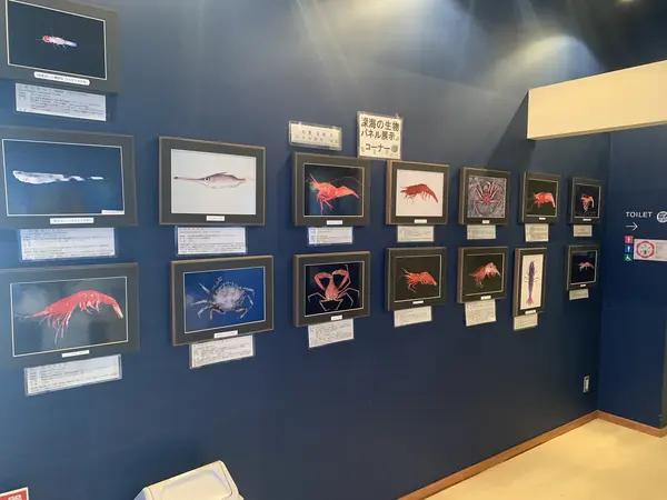 パネル展示コーナー