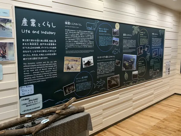 展示