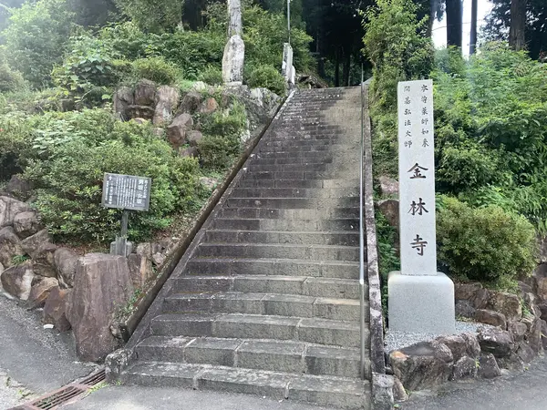 入口