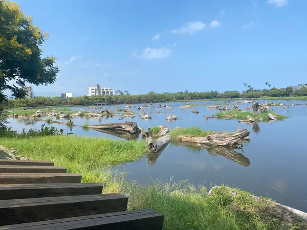 貯木場の池