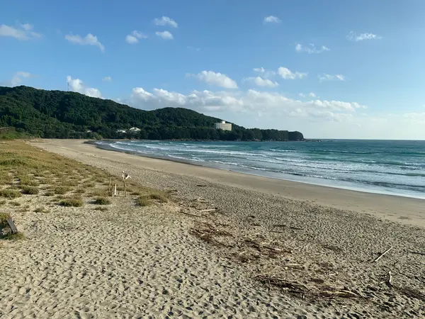 海