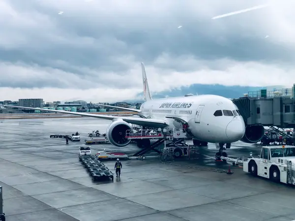 Boeing 787-8 Dreamliner