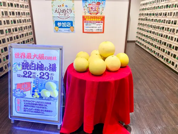 スポット内のおすすめ