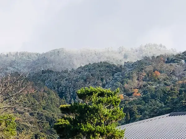 東山