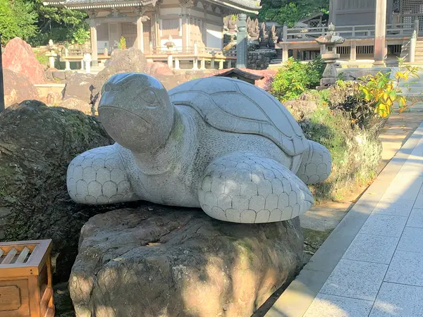 大師亀