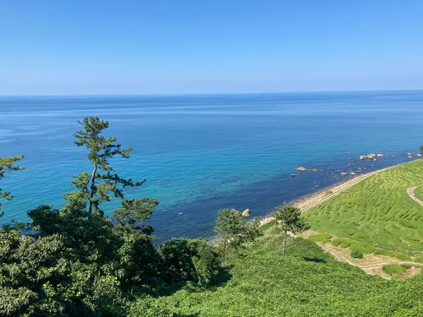 ここの海も綺麗ですわ