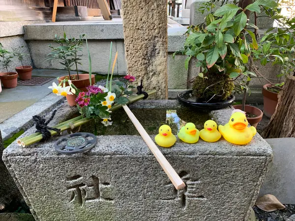 可愛い💕