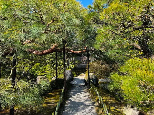 室町の庭