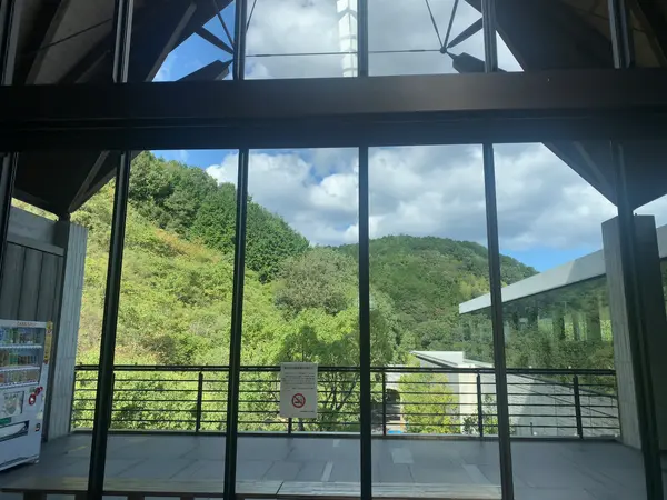景色