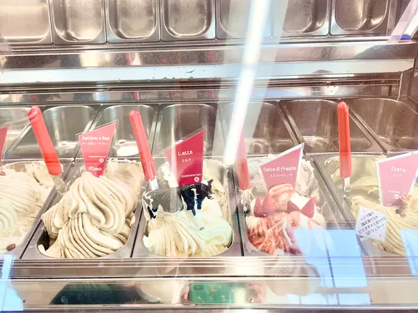 スポット内のおすすめ