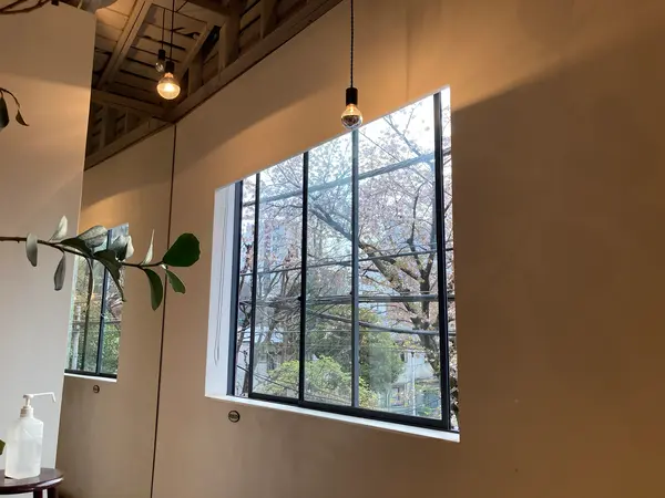 森の中感は薄いんですが