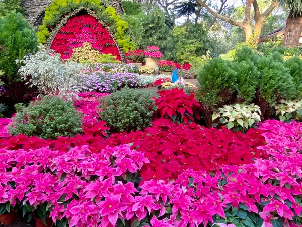 花露農場 園内