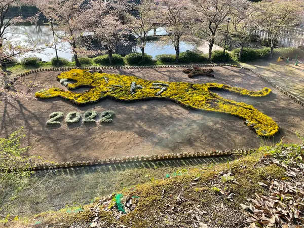 2022年寅年🐯