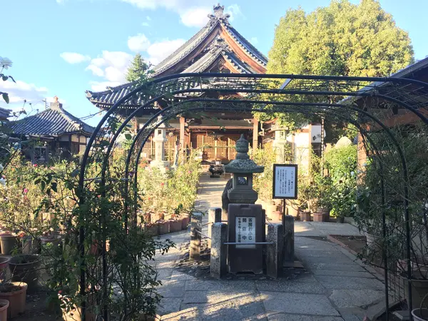 バラ園