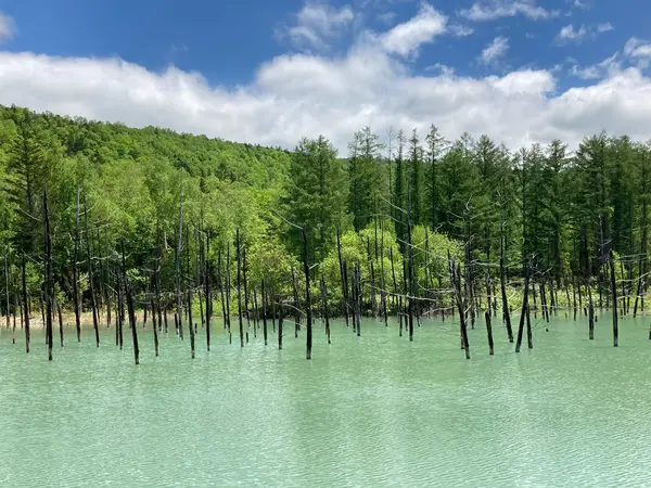 あまり青くない日でした。