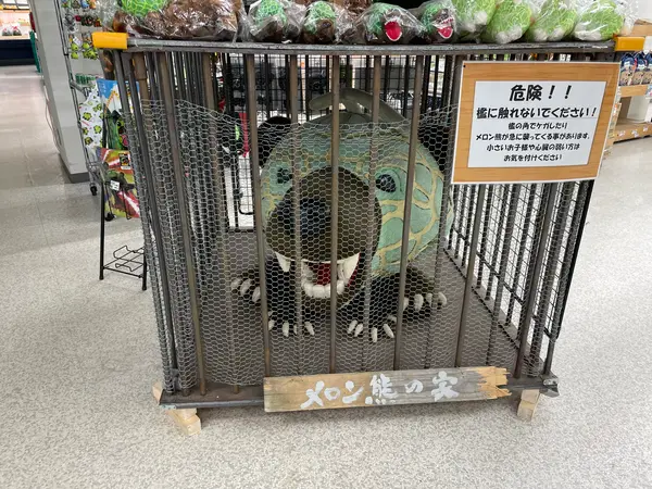 人気のメロン熊