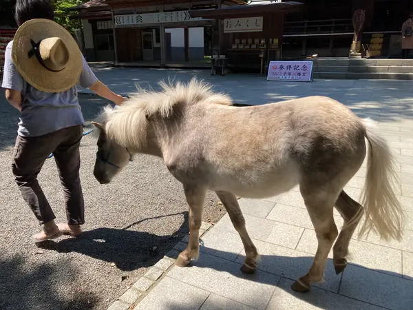 神馬　皐月