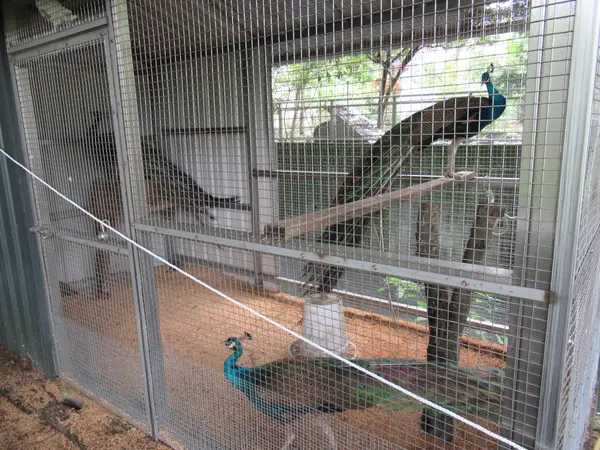 水岸森林休閒農場