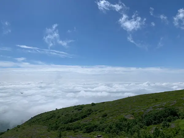 雲海