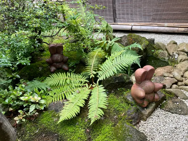 中庭