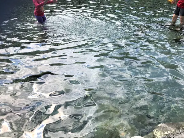 東岳湧泉