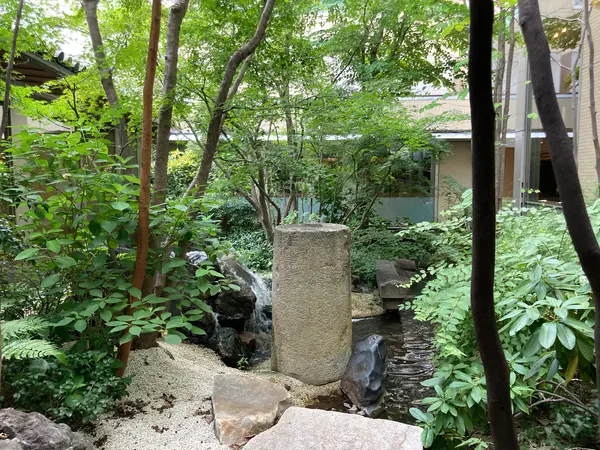 夏はこんな感じ!