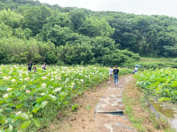 こんな風に中に入れるところもあります