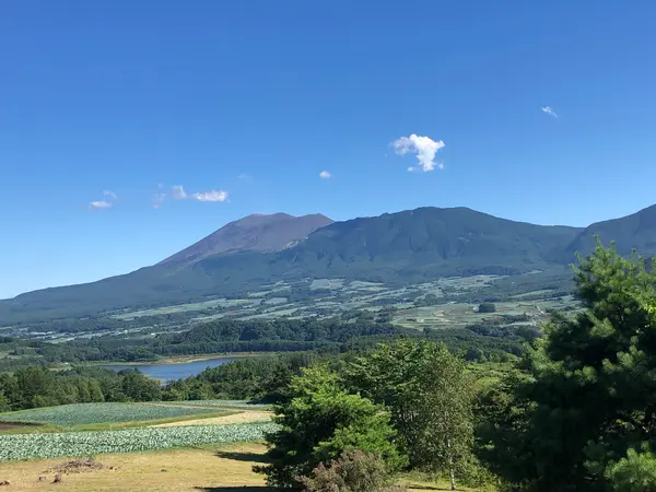 周辺はのどかな風景