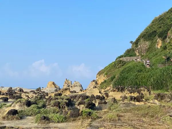 和平島公園