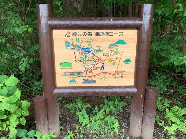 マップ