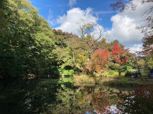 10月15日撮影です