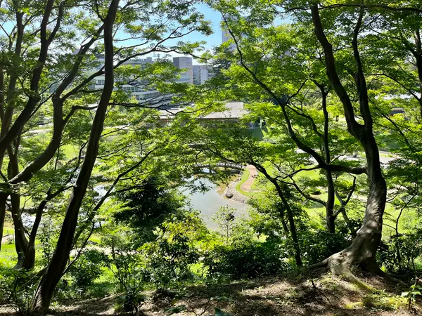 玉泉院丸庭園