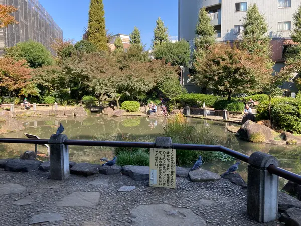 池