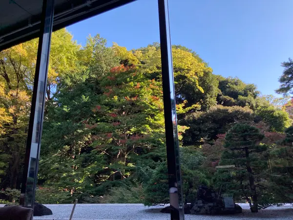 少し日が傾いて日除けが開きました